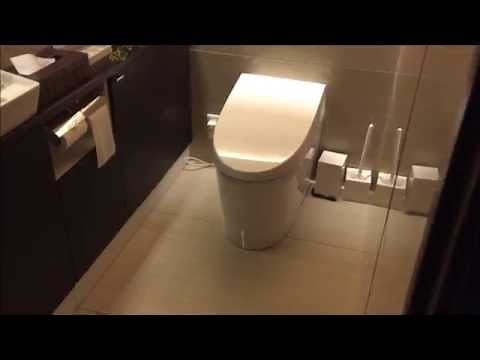 Japanese Toilet / Toto Washlet