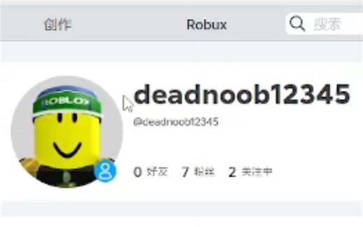 roblox 出2010年奇异搞笑名称visor账号 仅70元