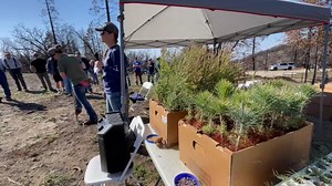 New hope growing for Shaver Lake community months after Creek Fire