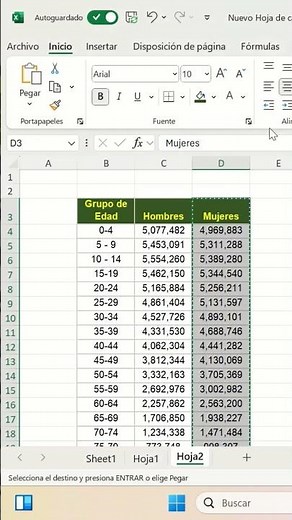 What is a population pyramid?