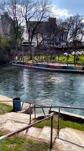 Comal river is one of the best place to visit this Spring Break and have fun with your friends and family and what's the best part? You get 25% off on all bookings when you apply coupon code "Summer25" Book Now: www.comaltubes.com #tubing #fun #springbreak #travel #comal #comalriver #newbraunfels #springbreak #spring | Comal Tubes