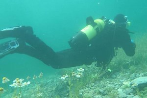 Altitude diving - Alchetron, The Free Social Encyclopedia