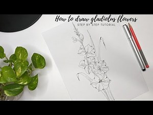 How to draw Gladiolus flowers. Simple and easy drawing. Step by step tutorial.