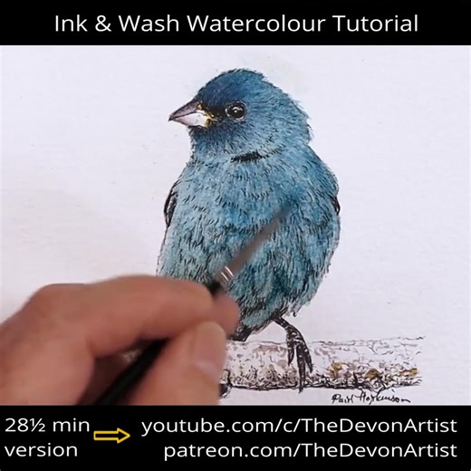 INK and WASH Watercolour Tutorial - Indigo Bunting In this ink and wash watercolour tutorial, you will learn to draw and paint this small blue bird. We begin by applying the details with a fine-tipped permanent ink pen, and then add the zap of colour with carefully applied wash layers. Here is the full 28-minute video if you are interested, all for free of course: https://tinyurl.com/3af52huc Paul | The Devon Artist
