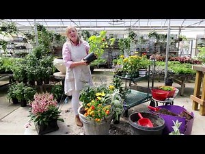 How To Plant A Full Sun Garden