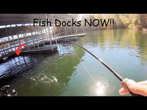 Fish Docks NOW! For BIG Fall CRAPPIE!! (Dock Fishing Tips!)