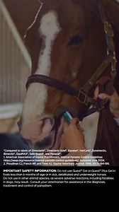 Choose AAEP-recommended treatments for effective parasite control.*¹ *Per the 2024 AAEP Internal Parasite Control Guidelines, moxidectin is the treatment of choice for small strongyles in adult horses. 1. American Association of Equine Practitioners. Internal Parasite Control Guidelines https://aaep.org/resource/internal-parasite-control-guidelines/. Accessed June 2024. | Zoetis Equine