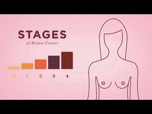 Beyond The Shock - Chapter 5 - Types & Stages - Introduction