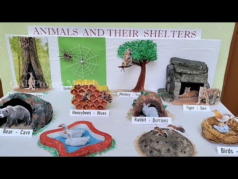 Animals and their shelters | animal shelter project model in 3d