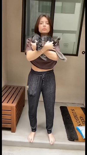 Chinchilla compilation @Imthe_annag #revengecatmode #waxitoff #flyingchinchilla #tattoojoy #comedy #catmodechallenge #megacatmode #truthcheese #boingboingchallenge #ballsofwholesomeness #spongebobwax #perfectaim #catmodeunlocked #cherylportervocalcoach #picoftheday #bestiegoals | Clementine Ember