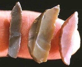 Microlith - Alchetron, The Free Social Encyclopedia