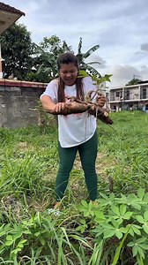 Uproot the cassava 😂 #funny #viral #reels #fyp | Kuya Max