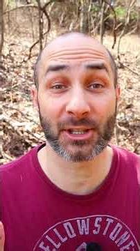 Why Zoom Flashlights Waste Light