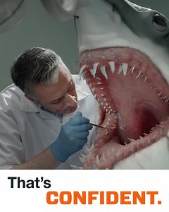 Be confident you found the right flight by filtering your options down to the perfect one. | KAYAK