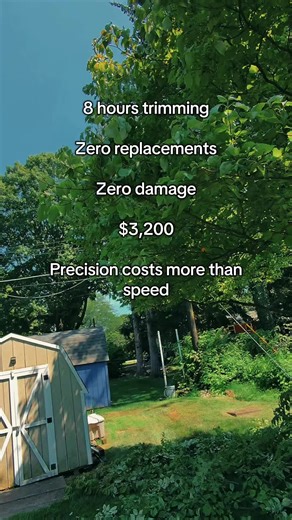 Best way to absolutely cook your shoulders… #fyp #landscaping #simplemath #trimming #cooked