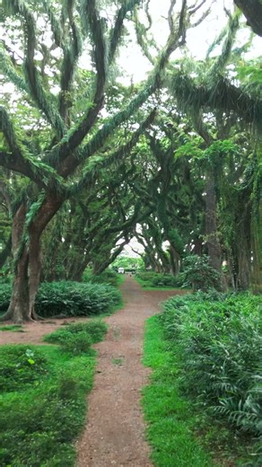 7,000 Reasons to Explore: The Islands of Indonesia