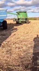 From field to truck: The journey of harvested corn explained!