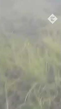 Bodycam captures close combat near Zaporizhzhia, Ukraine