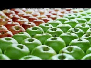 Nova Publicidade Pingo Doce