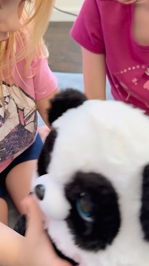  Meet the Little Live Pets Talking Baby Panda! This little cutie...