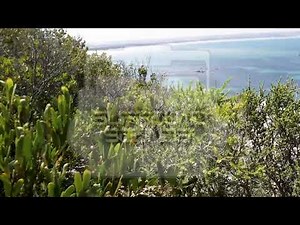 Tevvez - Endless (1 Hour Version)