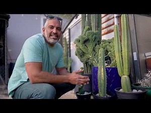 Colossal Cactus Collector and Native Plant Enthusiast in the Mojave Desert of Southern California