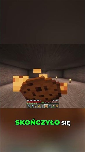 Polish YouTuber Tests Food Mod in Minecraft! #shorts