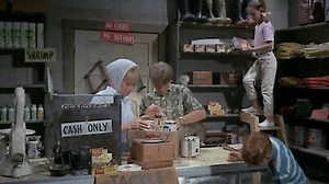 Watch Flipper Season 3 Episode 27 - Flipper's New Friends (1)