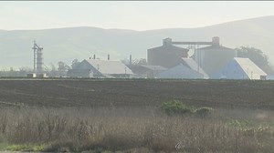 Check your fridge, there's a recall on lettuce and cauliflower