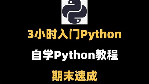 3小时超快速入门Python | 动画教学【2025新版】【自学Python教程】【零基础Python】【计算机二级Python】【Python期末速成】