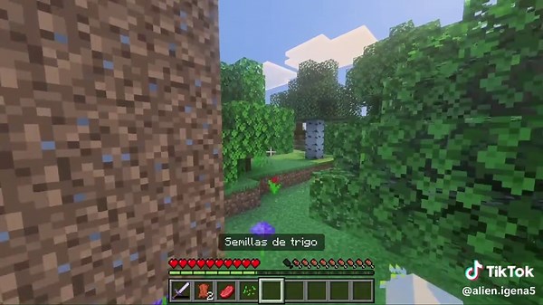 Alien Igena on TikTok