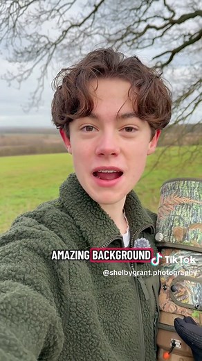 Stunning Red Kite in Flight Photography