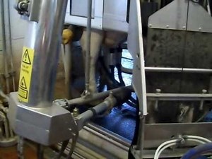 Robot cow milking