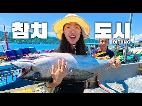 참치회를 참치캔보다 더 싸게 사는 방법∥🇮🇩인도네시아 비퉁