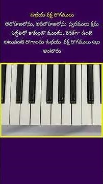 UBHAYA VAKRA RAGAMU #SHORTS #carnaticragas