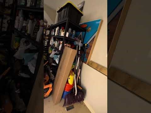 Plugging a predator generator into our home.