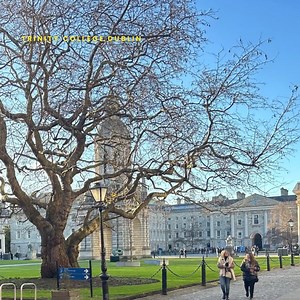 7.2K views · 68 reactions | Trinity College Dublin has performed well in the latest QS World University Rankings by Subject 2024 with five subjects in the top 50 and 17 additional subjects in the QS top global 100. Read more www.tcd.ie/news_events/articles/2024/trinity-performs-well-in-qs-world-university-subject-rankings-2024-----/ #QSWUR #TopUnis #TeamTrinity | Trinity College Dublin | Facebook