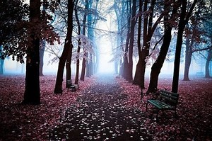 What is environment?