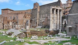 Forum of Augustus in Rome: Map, Tickets & Important Facts