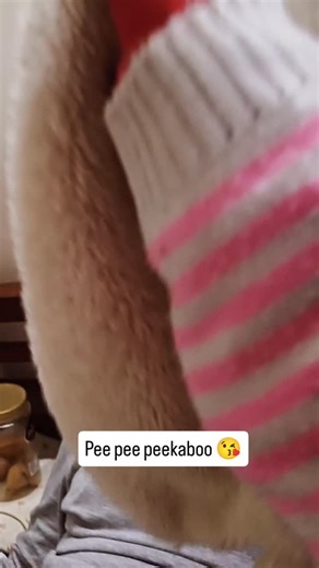 Chhavi on Instagram: "Cutest Peekaboo Ever 😍 #cutekids peekaboo #babypeekaboo #cutebaby #babygiggles babyreels kidsreels babyfun littlejoy parentlife viralbaby instababy"