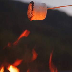 23 reactions | One of our Hit 5 winners from Lakewood, WA won $218K! 朗 Now, imagine you won BIG tomorrow...what autumn adventure would you embark on?! ️ | Washington's Lottery | Facebook