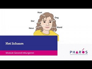 Het lichaam, Module Gezond Inburgeren | Pharos, expertisecentrum gezondheidsverschillen