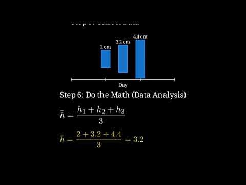 Research Process Explained Step by Step | Research Methodology for MBA, PhD & UGC-NET