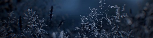 Bifcmd, Bifrost Engine and Bifrost Compute Jobs Explained