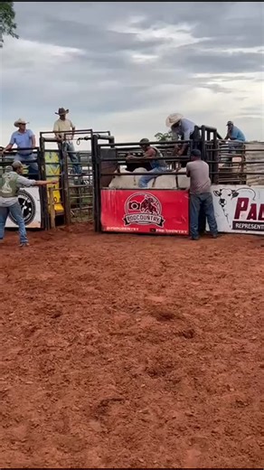 Cia De Rodeio IP on Instagram: "Competidor que faz parte do time da Cia ip ALCEU JUNIOR X TANGARA @alceujuniorsouzasantos @haras_ipianezzola @felipepianezzola @barbosa_richard #geneticasdepulos #maquinasdepulo #rodeioemtouros"