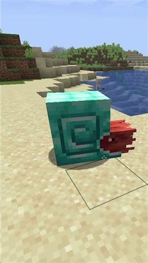 INSANE Minecraft Ocean Update 1.22 #minecraft #shorts