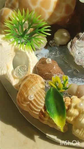 Built a tiny World 🌊 with preety shells✨ #shellcraft #island #model #shell