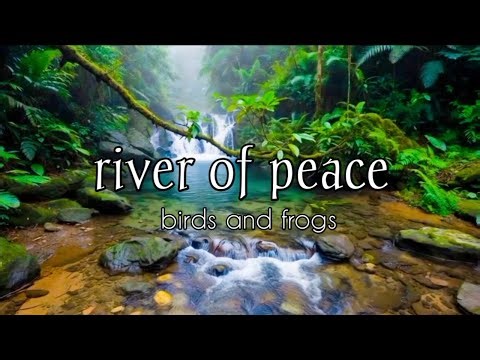 Beautiful Tropical Stream, birdsong & Frogs | Deep sleep, Relaxatio & Stress Relief Sounds