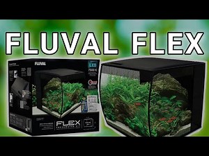 Fluval Flex Aquarium Review