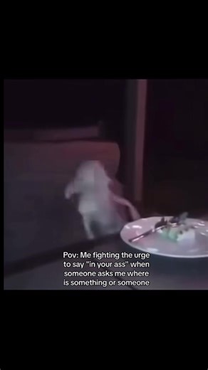 Explore the Magic of Harry Potter's Dobby Character